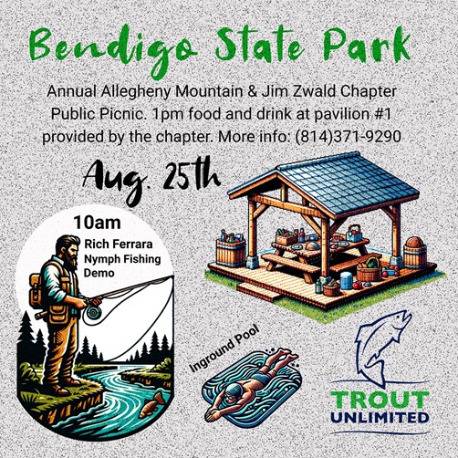 FB Instagram TU AMC JZC Picnic Bendigo